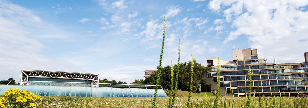 Campus University of East Anglia
