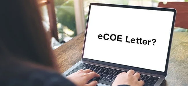 Thông tin về eCoe
