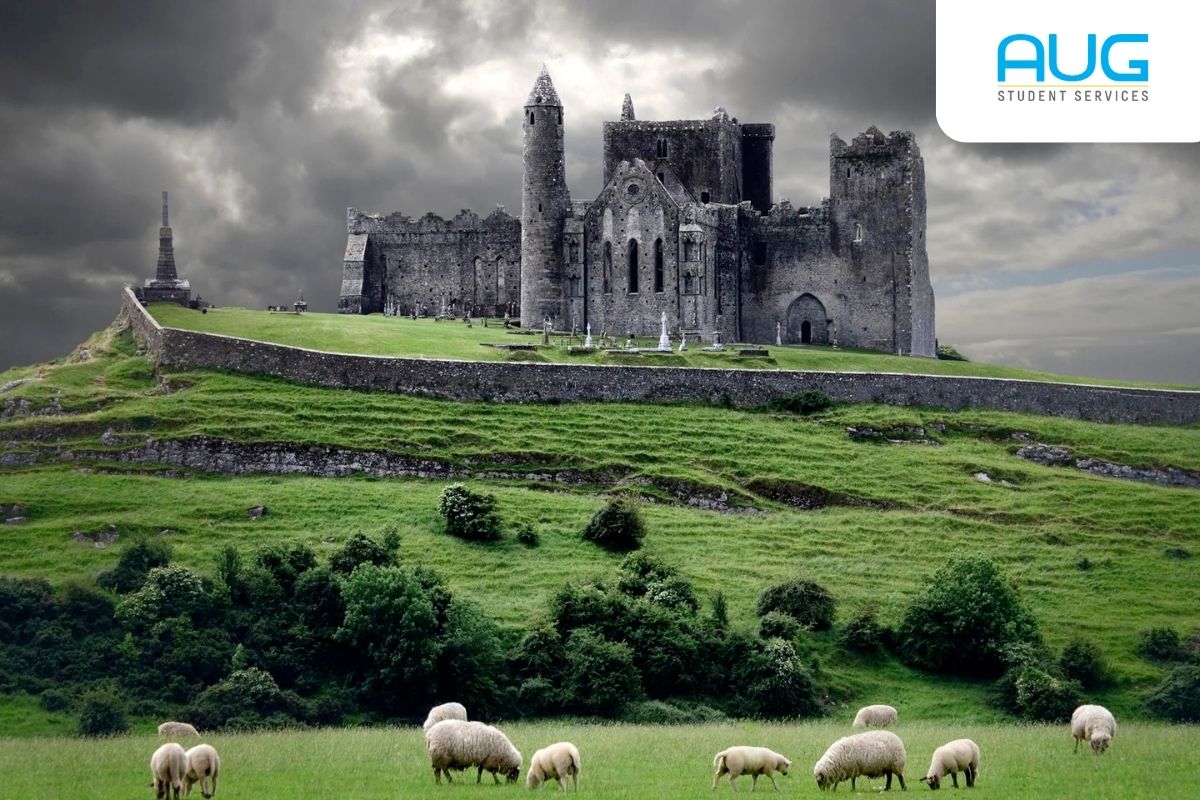 爱尔兰的比亚亚·希杜普·穆拉 (Biaya Hidup Murah) 和印度尼西亚的马哈西斯瓦 (Mahasiswa)