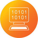 IT / Computer Science