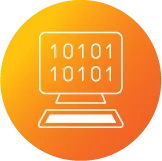 IT / Computer Science
