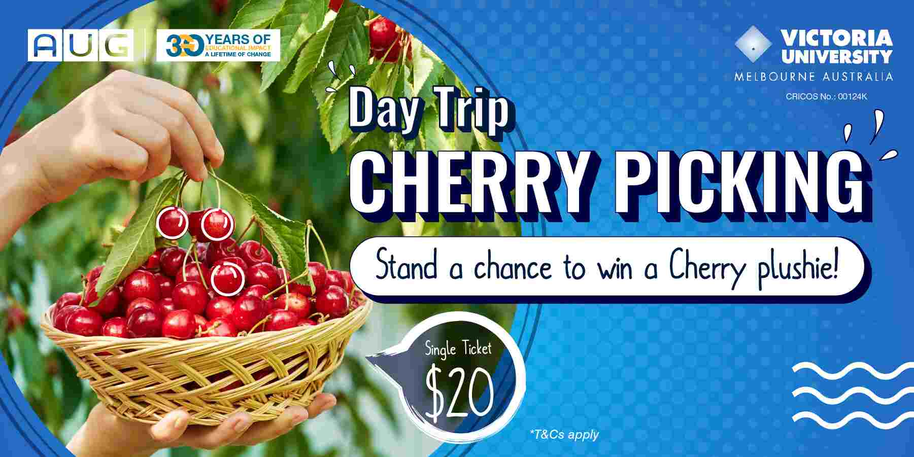 [AUG Melbourne] Cherry Picking Day Trip