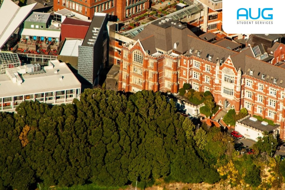 Mau Kerja di New Zealand setelah Kuliah? Baca Dulu, Ya!