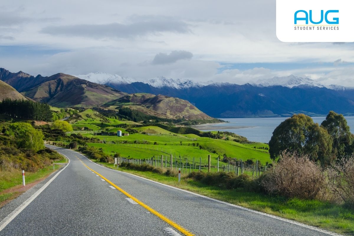 Mau Kerja di New Zealand setelah Kuliah? Baca Dulu, Ya!