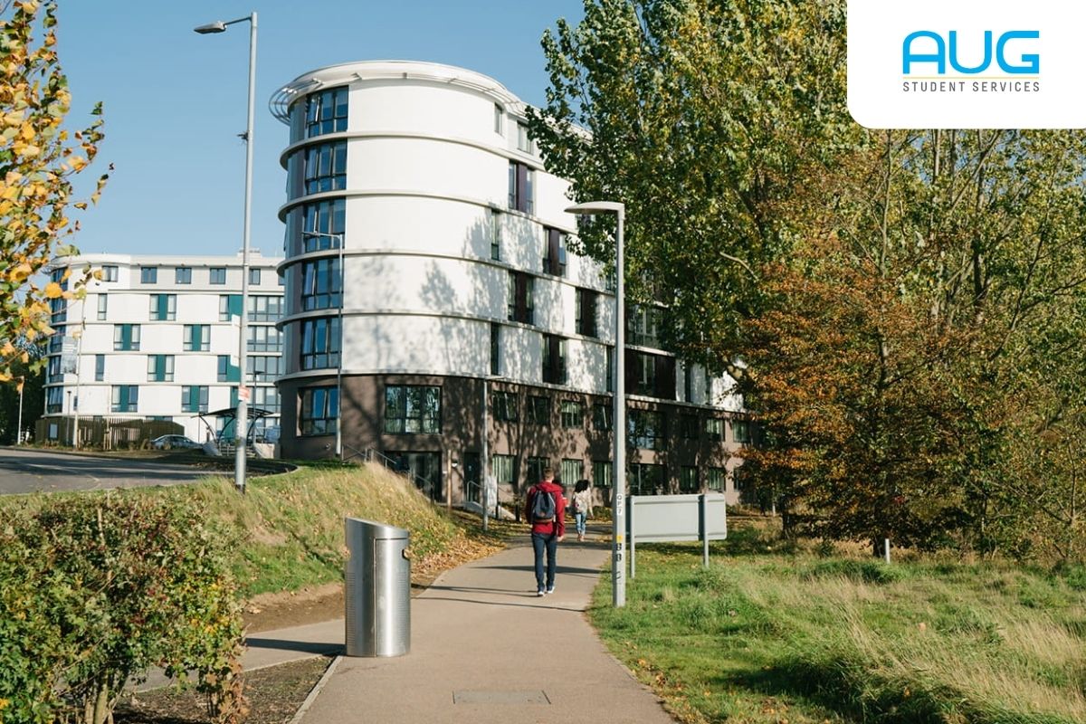 University of Essex 101: Biaya, Jurusan & Daftar