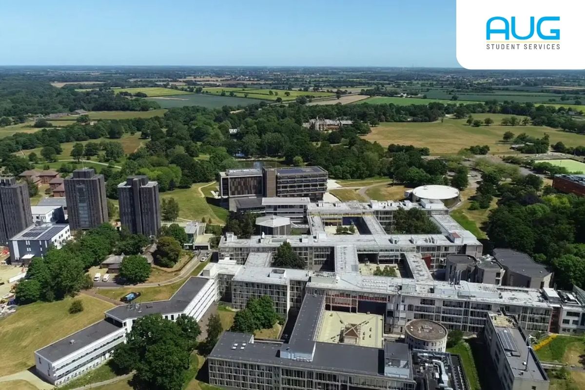 Raih Karir Global: Bedah MBA di Essex & Diskon 50%!