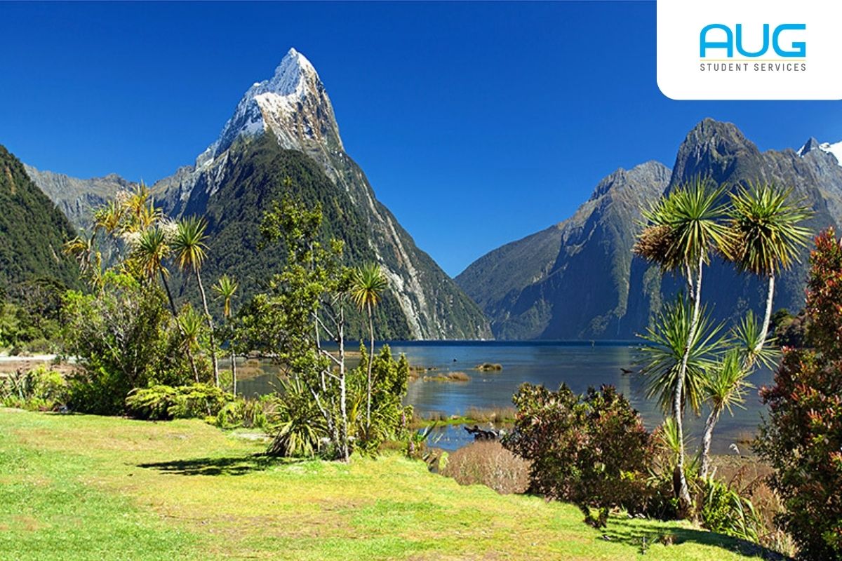 5 Destinasi Alam New Zealand yang Ramah Keluarga