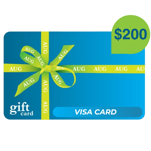 Visa gift card