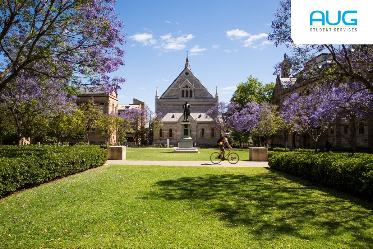 Top Australia Uni Scholarship: Daftar Beasiswa Go8 & Tips