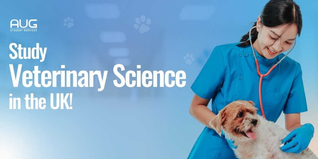 [AUG Singapore] Study Veterinary Science in the United Kingdom (UK): Your Path to Becoming a Veterinarian