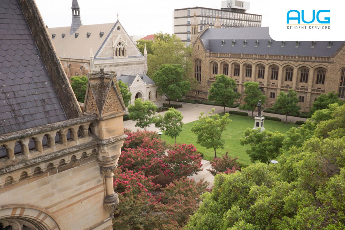 Bedah Kota Underrated Adelaide: Kampus Go8 & Biaya Hemat