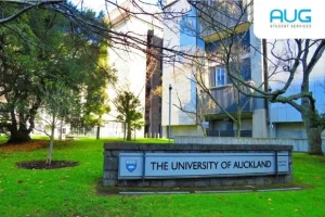 Study in New Zealand Universities: A Guide for International Students