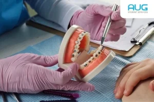 Dentistry Universities in Australia: Choosing the Right One