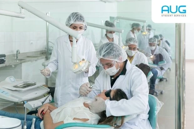 Dentistry universities in Australia
