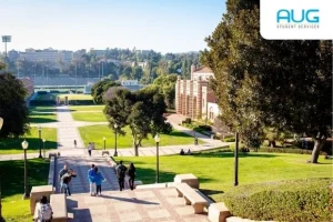 Foundation Courses in Australia: Your Pathway to University