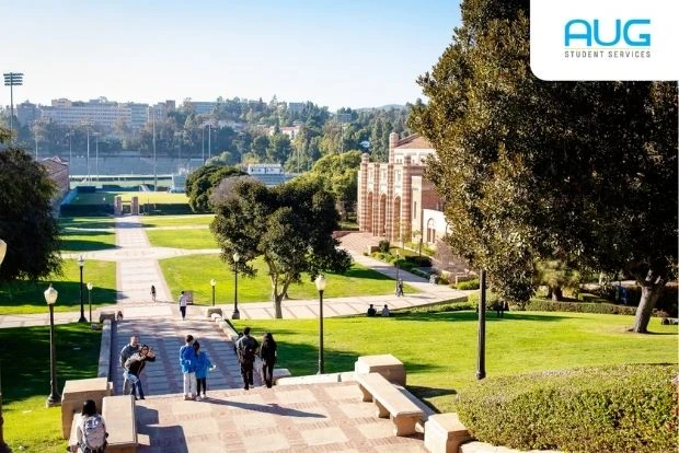 Foundation courses in Australia for International Students