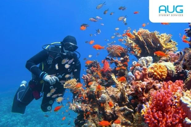 Students conducting marine biology fieldwork on a reef at one of the top marine biology universities in Australia