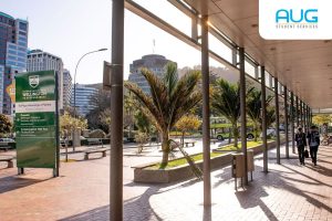 Pilih Kota Terbaik New Zealand untuk Karier & Kuliah