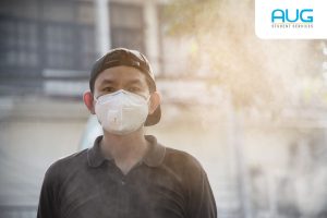 Dampak Kebakaran Hutan: Dari Gagal Muncak Hingga Polusi Asap