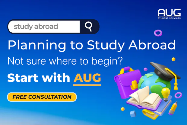 International students comparing university and course options